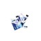 LENOVO 41C9395 (1098248) TP UPG 3YR RTB to 3YR OS NBD (41C9395 (1098248) 1098248) Unavailable