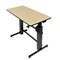 ERGOTRON 24-271-928 ERGOTRON WorkFit-D Birch Wood Grain (24-271-928 2352592) Unavailable