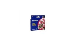 EPSON  C13T054390  T0543 INK CART MAGENTA 440 (EPA0819 1038658 T054390)no longer available